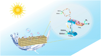 Graphical abstract: Self-induced electron attraction center formation with pyrophosphorylation strategy for photocatalytic hydrogen evolution