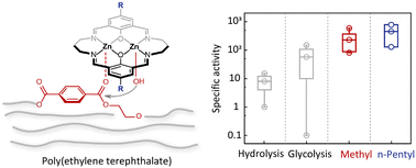 Graphical abstract: PET recycling under mild conditions via substituent-modulated intramolecular hydrolysis