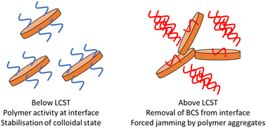 Graphical abstract: Branched copolymer surfactants impart thermoreversible gelation to LAPONITE® gels