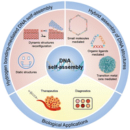 Graphical abstract: Self-assembled methodologies for the construction of DNA nanostructures and biological applications