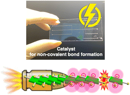 Graphical abstract: Catalytic effect of microflow space for supramolecular block co-polymerization of water-soluble porphyrins