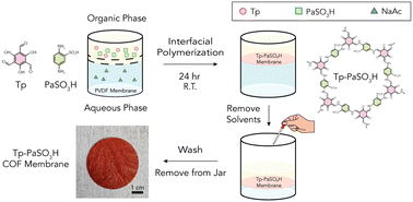 Graphical abstract: A continuous covalent organic framework membrane as an artificial solid electrolyte interphase for lithium metal anodes