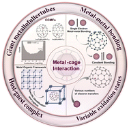 Graphical abstract: Advancements in endohedral metallofullerenes: novel metal–cage interactions driving new phenomena and emerging applications