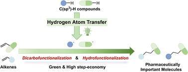 Graphical abstract: Direct alkene functionalization via photocatalytic hydrogen atom transfer from C(sp3)–H compounds: a route to pharmaceutically important molecules