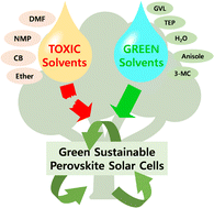 Graphical abstract: Green solvent strategies for the sustainable development of perovskite solar cells