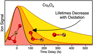 Graphical abstract: Sub-picosecond photodynamics of small neutral copper oxide clusters