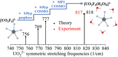 Graphical abstract: Systematic Raman spectroscopic study of the complexation of uranyl with fluoride