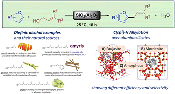 Graphical abstract: Aluminosilicate-mediated C(sp2)–H alkylation of furans using allylic alcohols