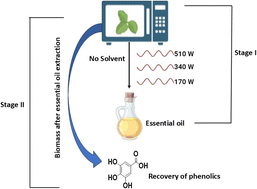 Graphical abstract: A two-stage extraction model for simultaneous extraction of essential oil and phenolics from tulsi leaves: implementing a blended mode microwave hydrodiffusion and gravity (MHG) model