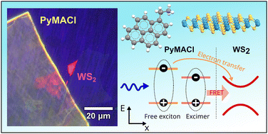 Graphical abstract: Electronic coupling and photoluminescence anisotropy in van-der-Waals-stacks of tungsten disulphide with molecular single crystals
