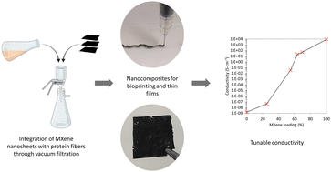 Graphical abstract: Conductive MXene nanosheets infused in protein fiber hydrogels for bioprinting and thin film electrodes
