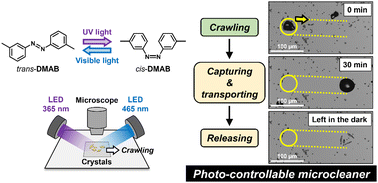 Graphical abstract: Photo-controllable microcleaner: photo-induced crawling motion and particle transport of azobenzene crystals on a liquid-like surface