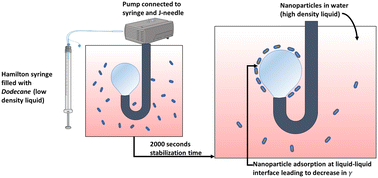 Graphical abstract: Shape anisotropy induced jamming of nanoparticles at liquid interfaces: a tensiometric study