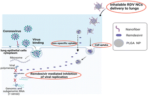 Graphical abstract: A novel nanocomposite drug delivery system for SARS-CoV-2 infections