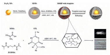 Graphical abstract: Design and development of pH-sensitive nanocarriers using molecularly imprinted polymers for the targeted delivery of sodium thiopental