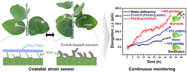 Graphical abstract: Coatable strain sensors for nonplanar surfaces
