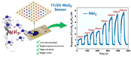 Graphical abstract: Harnessing mixed-phase MoS2 for efficient room-temperature ammonia sensing
