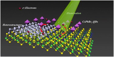 Graphical abstract: High-performance optoelectronics enabled by synergistic integration of 2D heterostructures with perovskite quantum dots