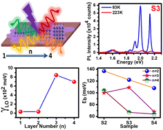 Graphical abstract: Exciton–phonon coupling in quasi-two-dimensional Ruddlesden–Popper perovskites: impact of a mixed-phase structure