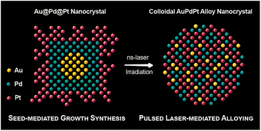 Graphical abstract: Colloidal gold-palladium-platinum alloy nanospheres with tunable compositions and defined numbers of atoms