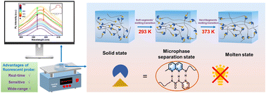 Graphical abstract: A triple hydrogen-bond dominated fluorescent probe for monitoring the melting transition of polyurethane