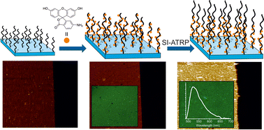 Graphical abstract: Fluorescent surface-grafted block copolymer brushes obtained in a versatile post-polymerization approach