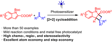 Graphical abstract: Photocatalytic intermolecular [2 + 2] cycloaddition/dearomatization of indoles: easy access to cyclobutane-fused indolines