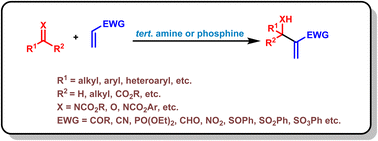 Graphical abstract: Recent progress and prospects in the organocatalytic Morita–Baylis–Hillman reaction