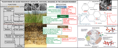 Graphical abstract: Bio-based resources: systemic & circular solutions for (agro)environmental services