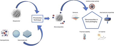 Graphical abstract: Nanotechnology in food packaging materials: role and application of nanoparticles