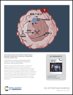 Graphical abstract: Back cover