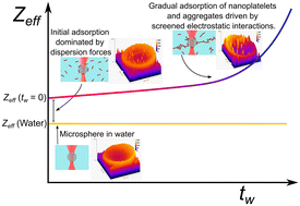 Graphical abstract: Using optical tweezer electrophoresis to investigate clay nanoplatelet adsorption on Latex microspheres in aqueous media