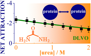 Graphical abstract: Urea and salt induced modulation of protein interactions: implications for crystallization and liquid–liquid phase separation