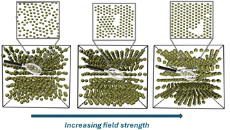 Graphical abstract: Structural transitions of ionic microgel solutions driven by circularly polarized electric fields