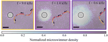 Graphical abstract: Gating and tunable confinement of active colloids within patterned environments