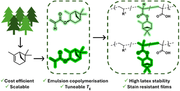 Graphical abstract: Sustainable, upscaled synthesis of pinene-derived (meth)acrylates and their application as high Tg monomers in styrene/acrylic-based bioderived copolymer coatings
