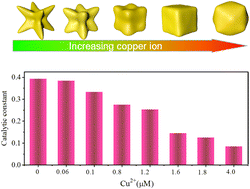 Graphical abstract: Cu2+-induced surface structure transformation on Au nanocubes from a concave to a convex configuration: mechanism and catalytic performance