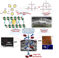 Graphical abstract: Unlocking advanced CO2 separation via a scalable and nitrogen-rich MOF-cross-linked polydimethylsiloxane hollow fiber hybrid membrane