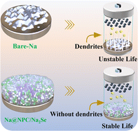 Graphical abstract: Introduction of a multifunctional percolated framework into Na metal for highly stable sodium metal batteries