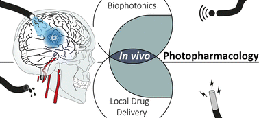 Graphical abstract: In vivo photopharmacological inhibition of hippocampal activity via multimodal probes – perspective and opening steps on experimental and computational challenges