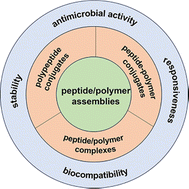 Graphical abstract: Advances in peptide/polymer antimicrobial assemblies