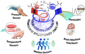 Graphical abstract: Dry ionic conductive elastomers based on polymeric deep eutectic solvents for bioelectronics