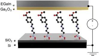 Graphical abstract: Temperature dependence of charge transport in molecular ensemble junctions