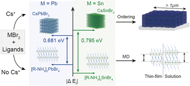 Graphical abstract: Growth mechanism of oleylammonium-based tin and lead bromide perovskite nanostructures