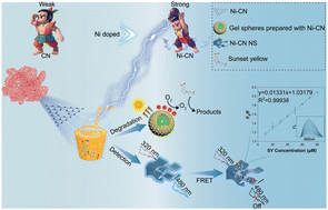 Graphical abstract: Coral-like porous tubular Ni doped g-C3N4 nanocomposites as bifunctional templates for photocatalytic degradation and fluorescence detection of sunset yellow in beverages