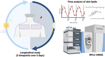 Graphical abstract: Investigating the effects of circadian rhythm on the human skin lipidome