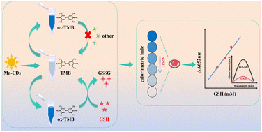 Graphical abstract: H2O2-free colorimetric sensing platform of Mn-doped carbon dots with oxidase-mimetic activity for the detection of glutathione in liver disease serum