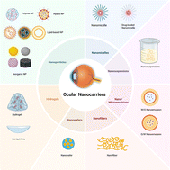 Graphical abstract: Nanomedicine in ophthalmology: conquering anatomical barriers and enhancing therapeutic efficacy