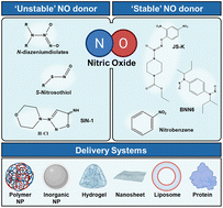Graphical abstract: Engineering delivery platforms for controlled nitric oxide release