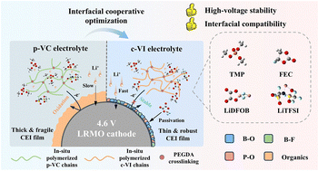 Graphical abstract: Dual-component modulation strategy for enhancing interfacial compatibility in 4.6 V LRMO-based solid-state lithium metal batteries